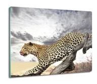Deski do krojenia - szklana deska splashback Lampart gałąź niebo 60x52, ArtprintCave - miniaturka - grafika 1