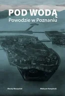 Historia świata - Pod wodą. Powodzie w Poznaniu - Maciej Moszyński, Maksym Kempiński - miniaturka - grafika 1