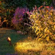 Lampy ogrodowe - Paulmann Plug & Shine Sting earth spike spot 2200K 1 szt - miniaturka - grafika 1