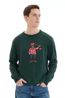 Bluzy męskie - Trendyol Męska bluza z okrągłym dekoltem z hasłem, zielona, L, ZIELONY, L - miniaturka - grafika 1