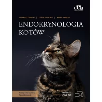 Endokrynologia kotów | - Dom i ogród - miniaturka - grafika 1