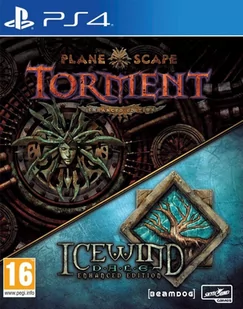 Planescape: Torment & Icewind Dale Enhanced Edition GRA PS4 - Gry PlayStation 4 - miniaturka - grafika 2