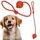 Zabawka dla psa gryzak gumowa piłka ze sznurkiem czerwona
