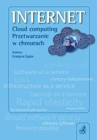 Internet. Cloud computing. Przetwarzanie w chmurach - Marketing - miniaturka - grafika 1