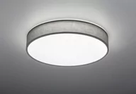 Lampy sufitowe - Trio Oświetlenie LUGANO Lampa Sufitowa LED Siwy, 1-punktowy 621914011 - miniaturka - grafika 1