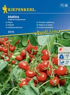 Nasiona i cebule - Pomidor Sałatkowy Matina 8319 (St) - miniaturka - grafika 1