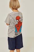 Koszulki dla chłopców - zippy t-shirt bawełniany dziecięcy x Spiderman kolor szary z nadrukiem - Zippy - miniaturka - grafika 1