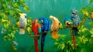 Malowanie po numerach - Diamond Painting Haft Diamentowy Mozaika Zestaw 5D - miniaturka - grafika 1