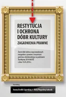 E-booki - prawo - Restytucja i ochrona dóbr kultury. Zagadnienia prawne - miniaturka - grafika 1