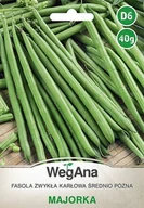Nasiona i cebule - Fasola zwykła karłowa Majorka 40g nasiona - WegAna - miniaturka - grafika 1