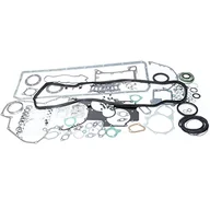 Uszczelki silnikowe - REINZ Kompletny zestaw uszczelek, silnik 01-25275-17 - miniaturka - grafika 1