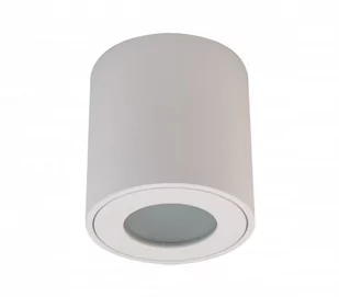 Masterled Aqua IP54 lampa sufitowa tuba czarna do łazienki 7297lv - Lampy sufitowe - miniaturka - grafika 1