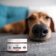 Szampony i odżywki dla psów - PET Nose & Paw Balm / Balsam do nosa i łapek 75ml – 100% naturalny skład - miniaturka - grafika 1