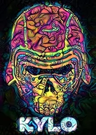 Plakaty - Plakat, PsychoSkulls, Kylo Ren, Star Wars Gwiezdne Wojny, 40x60 cm - miniaturka - grafika 1