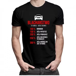 Koszulki męskie - Blacharstwo stawka godzinowa - męska koszulka z nadrukiem 7480 - grafika 1