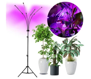 LED Lampa podłogowa ściemnialna do uprawy roślin VITARO 4xLED/7,5W/230V czarny - Lampy stojące - miniaturka - grafika 1