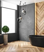 Elewacje - 120x60 cm DS - (ciemny popiel, srebrne kruszywo) - płyta beton architektoniczny ultralekka - miniaturka - grafika 1