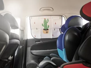 Kurtyna magnetyczna osłona okna samochodu kaktus - Akcesoria do fotelików - miniaturka - grafika 4