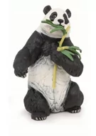 Albumy krajoznawcze - Panda z bambusem - miniaturka - grafika 1