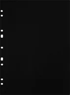 Zeszyty szkolne - Focus Carton Refillsheets for ringbinder A4 Black 30-pack - miniaturka - grafika 1