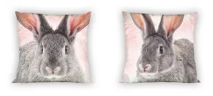 Carbotex Poszewka Wild Królik 40x40 cm 41333 - Poszewki na poduszki - miniaturka - grafika 1