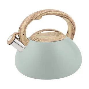 Czajnik Deneris 2,5 l zielony - Czajniki na gaz - miniaturka - grafika 1