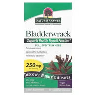 Suplementy diety - Natures Answer Bladderwrack 250 mg - Morszczyn pęcherzykowaty Suplement diety 90 kaps. - suplement - miniaturka - grafika 1