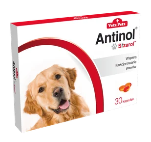 BIOVICO ANTINOL SIZAROL PIES 30 tabletek NA STAWY + Lab-V Olej z Łososia 100% Dla Psa i Kota w Każdym Wieku 100ml Tłoczony Na Zimno GRATIS !!! - Suplementy i witaminy dla psów - miniaturka - grafika 2