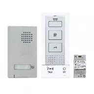 Domofony - Tousek Zestaw domofonu AIPHONE® dla 1-rodzinnego domu DBS - 1AP - miniaturka - grafika 1