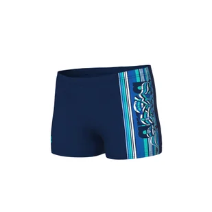 Szorty Kąpielowe Chłopięce Palette Swim Short - Kąpielówki dla chłopców - miniaturka - grafika 1