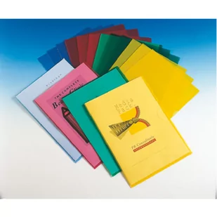 Ofertówka A4 115mic groszkowa (100szt.) 54832 ESSELTE - Segregatory - miniaturka - grafika 2