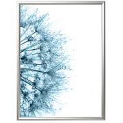 Obrazy i zdjęcia na płótnie - Fotografia "Dandelions blue 1" 30 x 40 cm - miniaturka - grafika 1