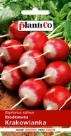 Nasiona i cebule - Nasiona Rzodkiewka Krakowianka 10g PlantiCo - miniaturka - grafika 1
