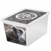 Pojemniki kuchenne - Pojemnik do przechowywania X Box Deco koala 15 l BRANQ - miniaturka - grafika 1