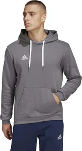 Adidas adidas Entrada 22 Sweat Hoodie HB0578 szary XL - Bluzy męskie - miniaturka - grafika 1