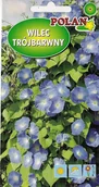 Nasiona i cebule - Wilec trójbarwny Heavenly Blue Niebieski 2 g POLAN - miniaturka - grafika 1