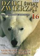 Filmy dokumentalne DVD - Niedźwiedź Polarny - Arktyczny Olbrzym - miniaturka - grafika 1