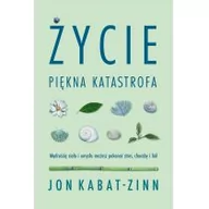 Rozwój osobisty - Życie, piękna katastrofa - miniaturka - grafika 1