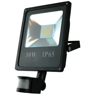 Eko-Light NAŚWIETLACZ LED EKN016 halopak 1x30W/LED IP65 6000K EKN016 - Lampy ogrodowe - miniaturka - grafika 1
