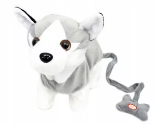 Norimpex Pies na smyczy Husky 32cm NO-1002315 - Maskotki i pluszaki - miniaturka - grafika 1