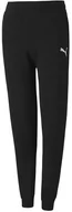 Spodnie męskie - Spodnie dla dzieci Puma teamGOAL 23 Casuals Pants Jr czarne 656713 03-128 - miniaturka - grafika 1