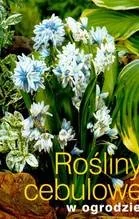 Rośliny cebulowe w ogrodzie - Poradniki hobbystyczne - miniaturka - grafika 1