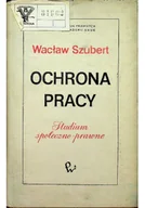 Zarządzanie - Ochrona Pracy - miniaturka - grafika 1