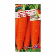 Nasiona i cebule - Marchew Karotina średniowczesna 5g / O / - miniaturka - grafika 1