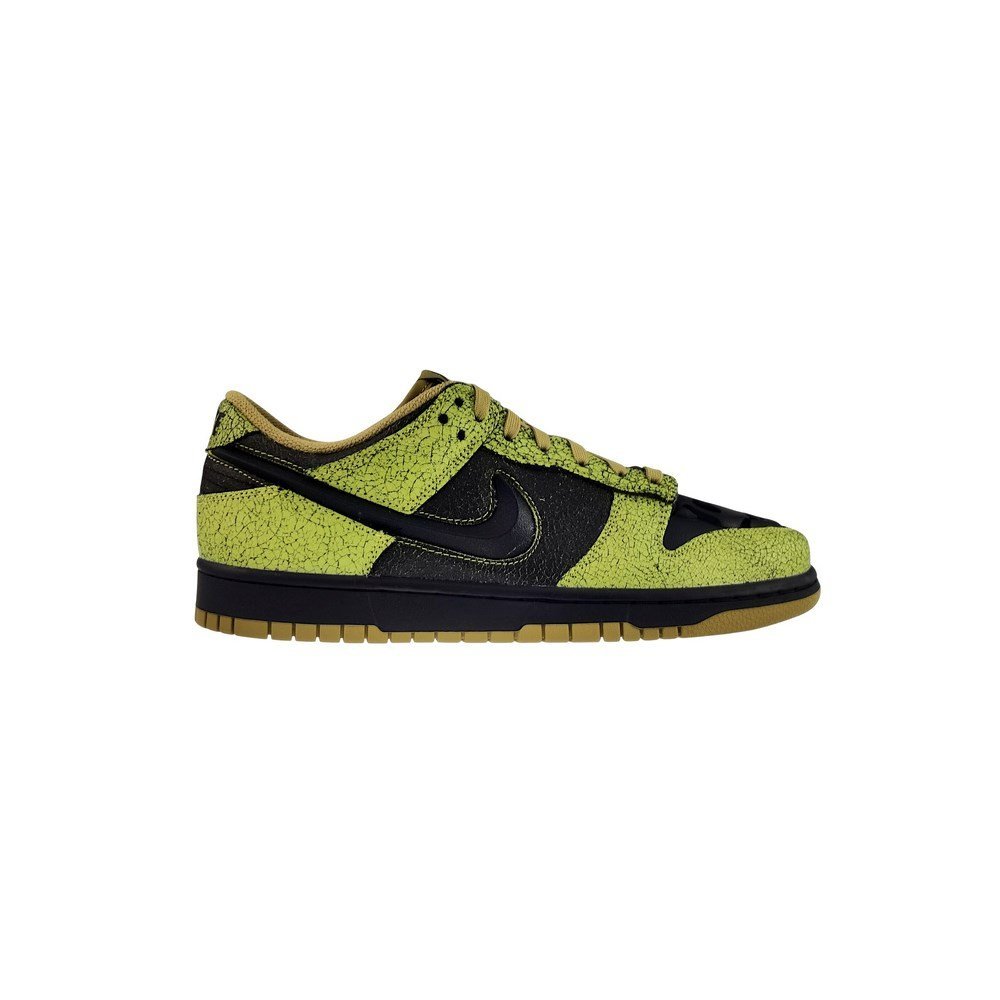 Buty Nike Dunk Low Retro Qs HV6103300