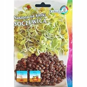 Nasiona i cebule - Nasiona na kiełki Soczewica 20g / L / - miniaturka - grafika 1