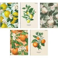 Zeszyty szkolne - Top-2000 Zeszyt A5/60K linia Summer (10szt) TOP2000 - miniaturka - grafika 1