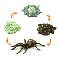 Zabawki sensoryczne - Cykl Życia Pająka Figurki Safari Ltd - miniaturka - grafika 1