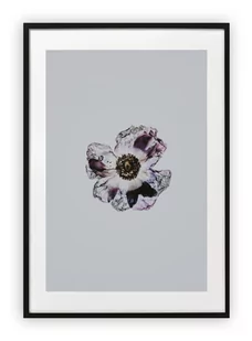 Plakat B1 70x100 cm Kwiat Sztuka Rysunek WZORY - Plakaty - miniaturka - grafika 1