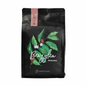 Kawa - COFFEE PLANT - Brazylia Mogiana Espresso 250g - miniaturka - grafika 1